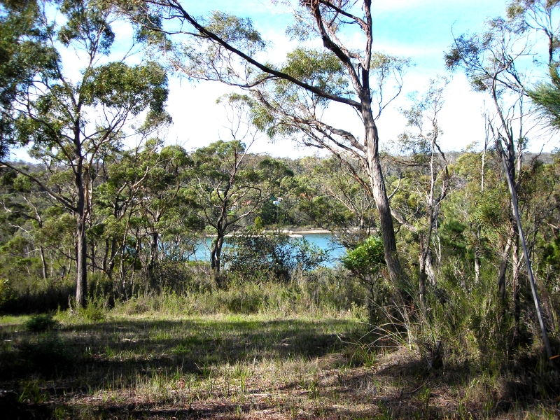 Gateway to the Bay of Fires....Lonely Planets
NO1 Destination in the World 2009 Picture 2