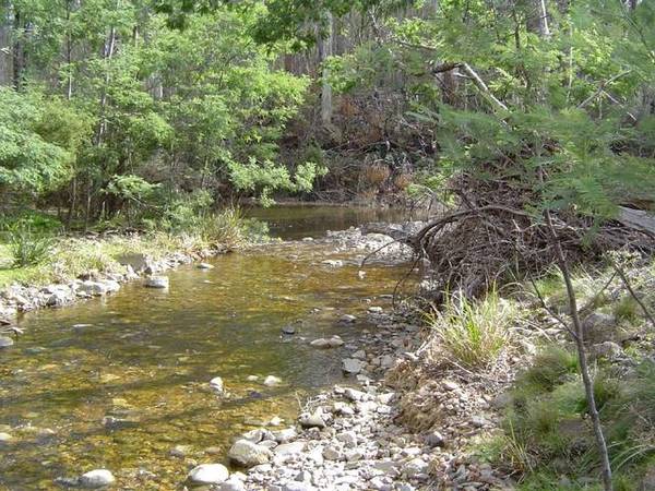 Surrounded By State Forest Where Two Rivers Meet Picture 2