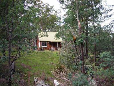 Surrounded By State Forest Where Two Rivers Meet Picture
