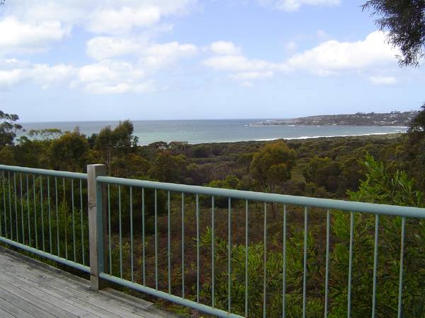 PICTURE PERFECT Picture 1