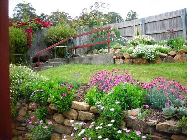 St Marys Little Beauty Picture 3