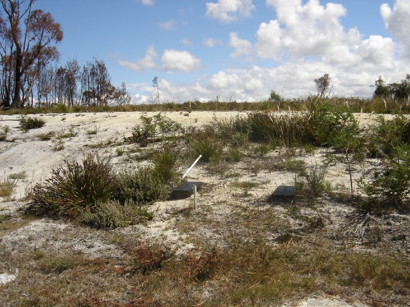 Cheap as Chips Picture 3