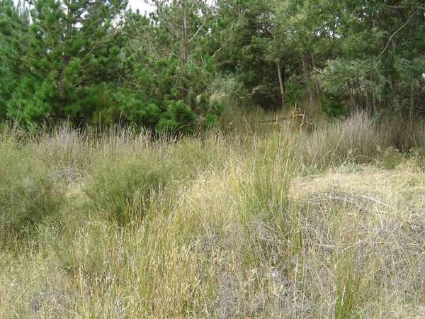 Huge Property Auction on Behalf of Break O Day Council Picture Huge Property Auction on Behalf of Break O Day Council Picture