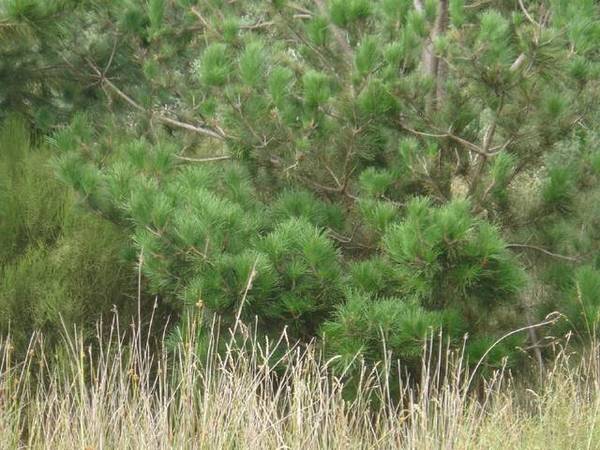 Huge Property Auction on Behalf of Break O Day Council Picture Huge Property Auction on Behalf of Break O Day Council Picture