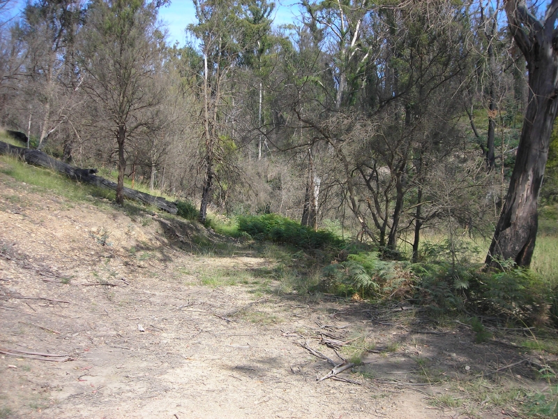 Is this your new view? Picture 3