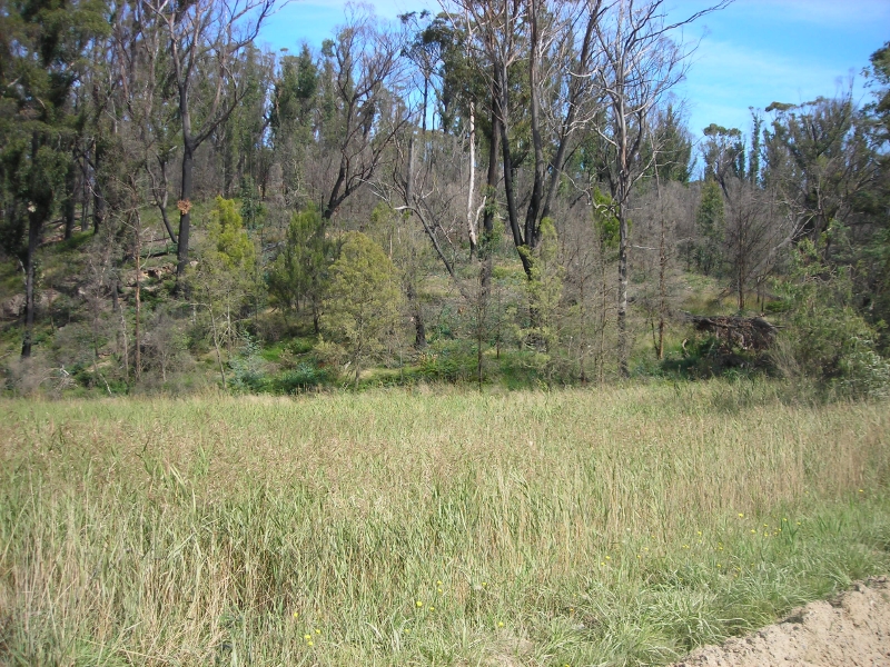 Is this your new view? Picture 2