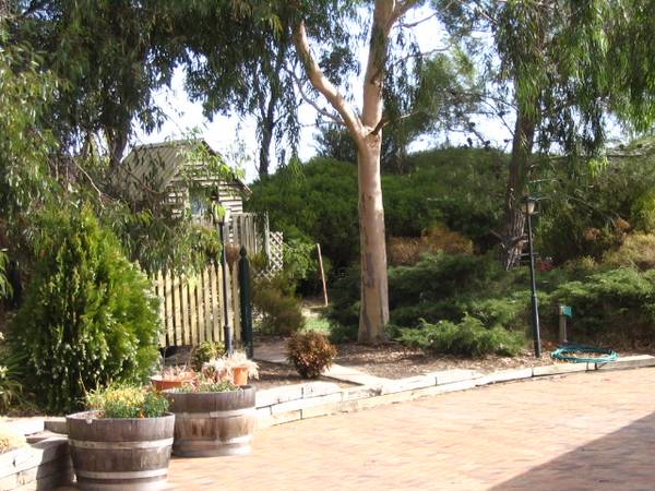 Lovely home, indoor pool and spa, 2 acres of Shiraz. Just perfect Picture 1