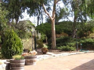 Lovely home, indoor pool and spa, 2 acres of Shiraz. Just perfect Picture Lovely home, indoor pool and spa, 2 acres of Shiraz. Just perfect Picture