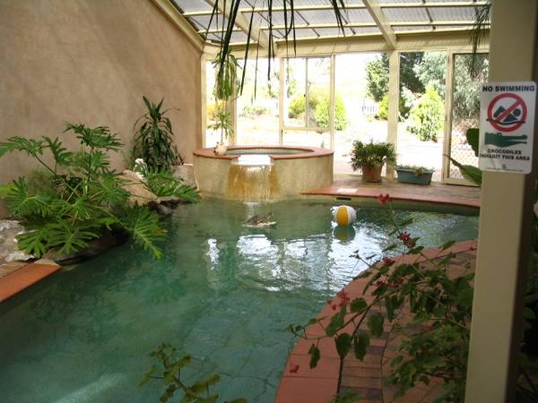 Lovely home, indoor pool and spa, 2 acres of Shiraz. Just perfect Picture 2