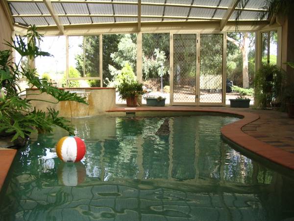 Lovely home, indoor pool and spa, 2 acres of Shiraz. Just perfect Picture 3