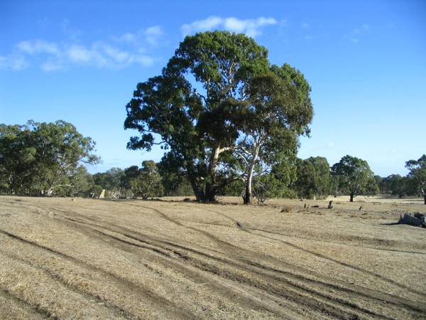 Eden Valley, 160 acres with excellent home sites Picture 2