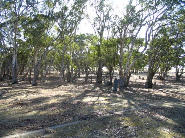 Eden Valley, 160 acres with excellent home sites Picture 3