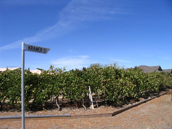 A rare find in Tanunda, executive living Picture 2