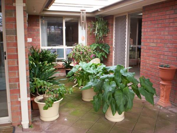 A rare find in Tanunda, executive living Picture 3