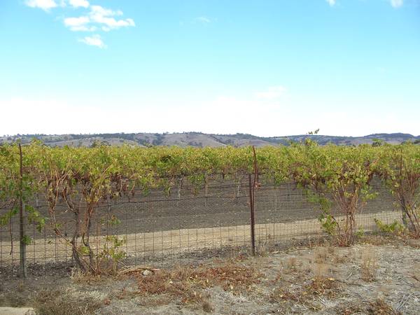 ATTENTION INVESTORS & FIRST HOME BUYERS Picture 2