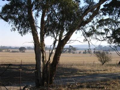 230 acres on 3 titles, grazing country with views and home sites Picture 230 acres on 3 titles, grazing country with views and home sites Picture