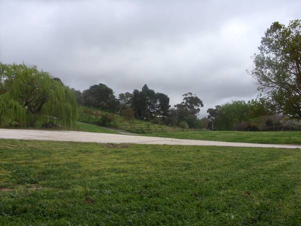 Large building allotment with scope to develop Picture 1