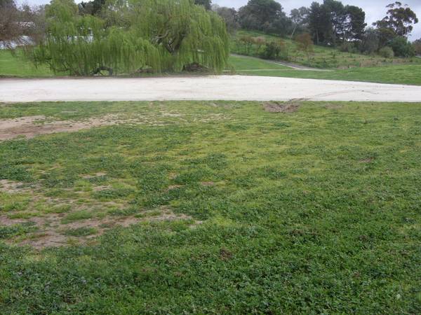 Large building allotment with scope to develop Picture 2