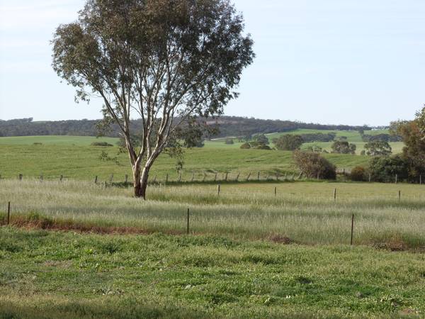 Delightful rural building block with uninterrupted views Picture 1