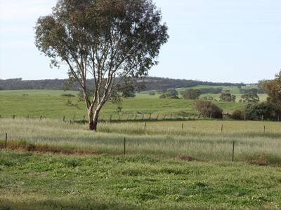 Delightful rural building block with uninterrupted views Picture Delightful rural building block with uninterrupted views Picture