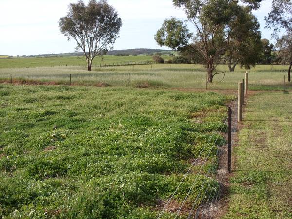 Delightful rural building block with uninterrupted views Picture 2