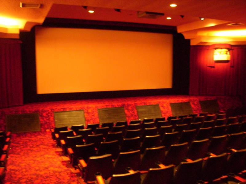 CINEMA BUSINESS with PROPERTY Picture 3