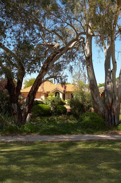 Paradise found, a tranquil lifestyle awaits Picture 2