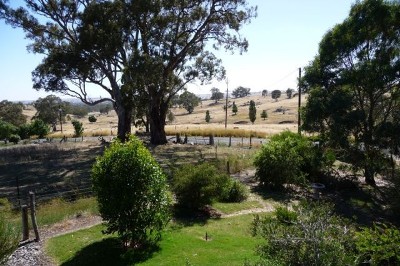 The Best of Town and Country Picture