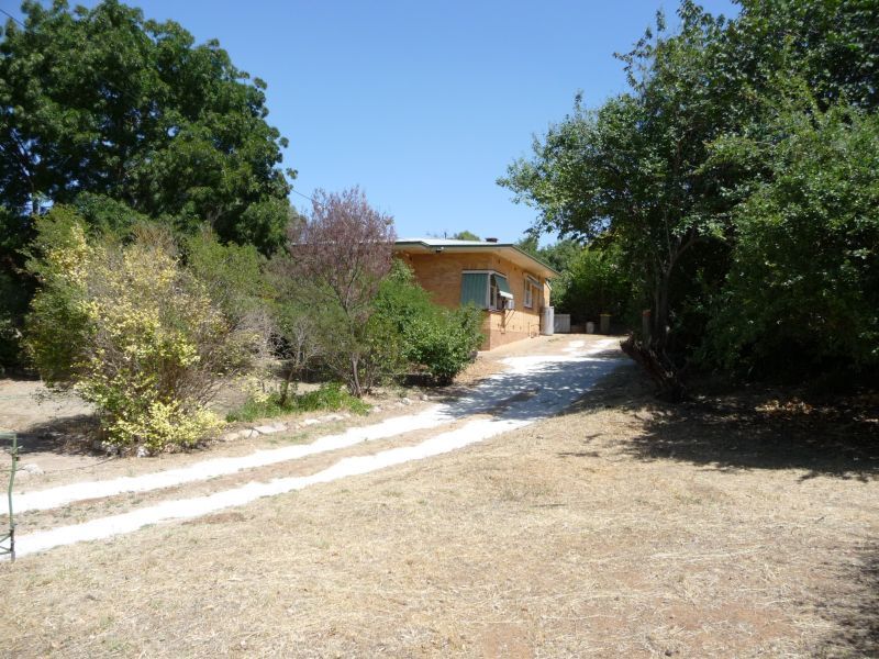 Attention first time buyers, investors, developers Picture 1