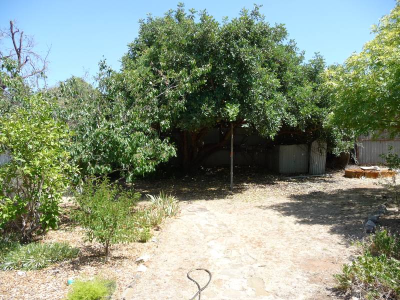 Attention first time buyers, investors, developers Picture 2