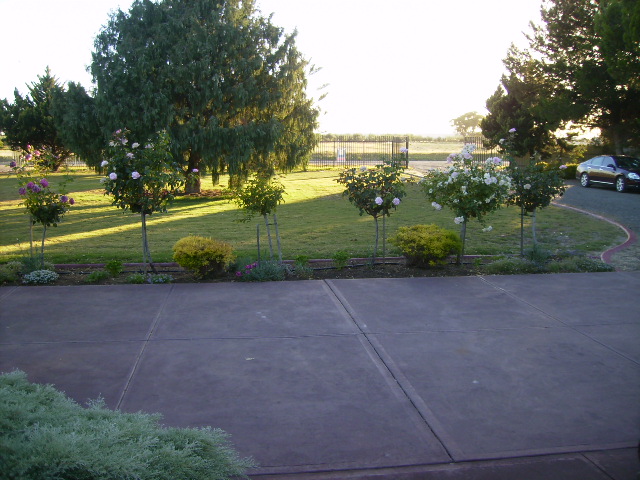 300sq metres of Delightful Excellence Picture 2