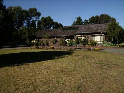 300sq metres of Delightful Excellence Picture