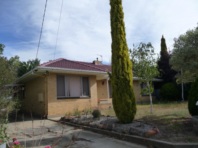 First home buyer or rental investment Picture 1