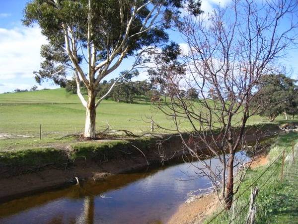 Potential galore in renowned wine district Picture 1