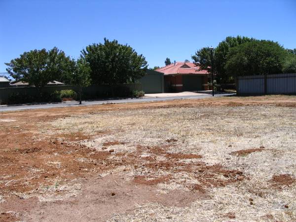 Just the perfect little block to build on or House and Land for $239,000 Picture 3