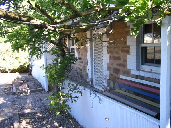 A little gem on a peaceful acre Picture 3