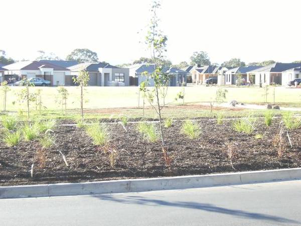 Sparkling New Home in Lakeside Estate Picture 3