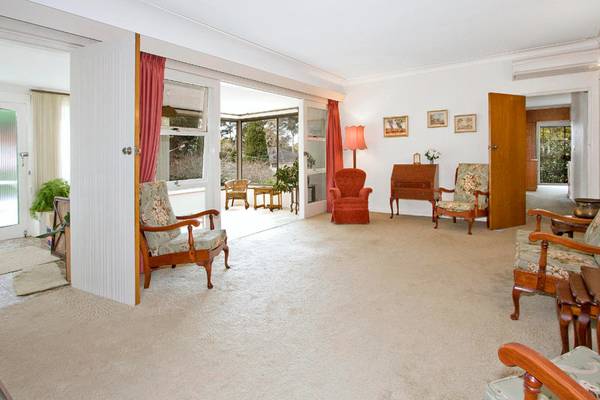 BLUE RIBBON Picture 2