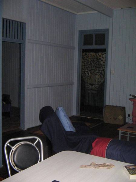 HIGHSET QUEENSLANDER Picture 3