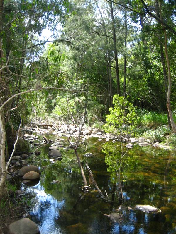 Lifestyle Acreages Picture 3