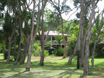 ABSOLUTE BEACHFRONT Picture 1