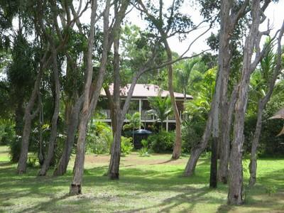 ABSOLUTE BEACHFRONT Picture ABSOLUTE BEACHFRONT Picture