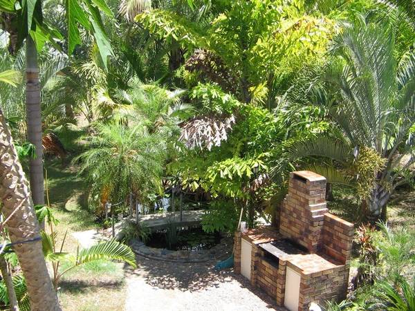 ABSOLUTE BEACHFRONT Picture 2