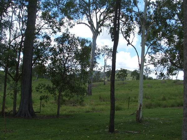 1,012 m2 Block - $115,000 Picture 3