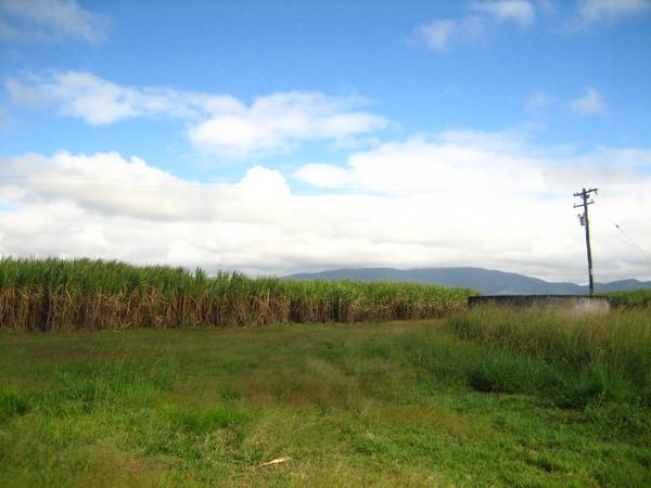 Koumala Cane Block. Picture 3