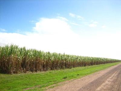 Koumala Cane Block. Picture