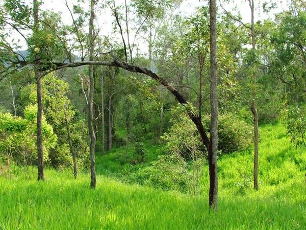 Nature Lovers Retreat Picture 2