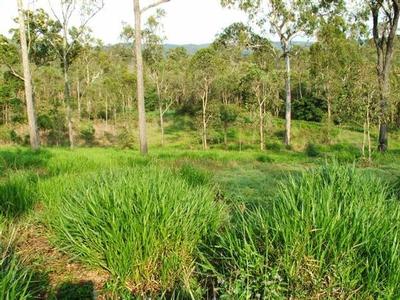 Nature Lovers Retreat Picture Nature Lovers Retreat Picture