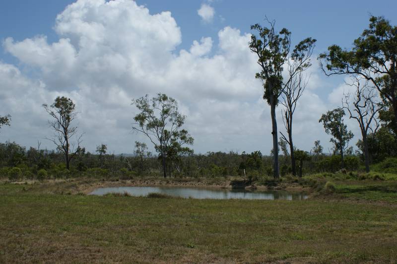 Be Impressed Picture 2