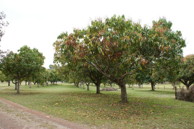 Quiet Rural Setting Picture 2